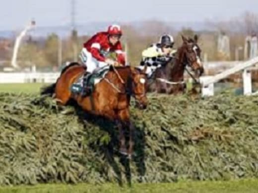 Elliott plays the numbers game in Grand National assault