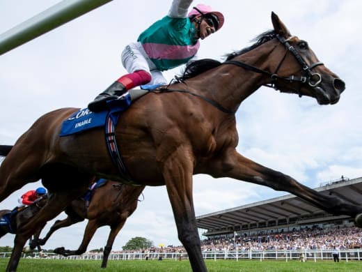 Enable bara bäst i Coral-Eclipse