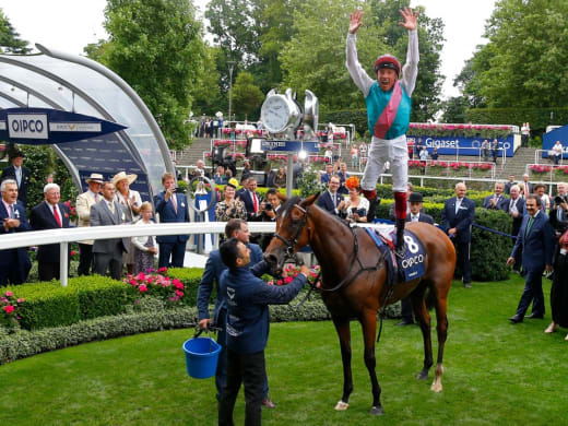 Enable mot York