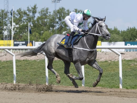 Flera nyckeltränare om sina hästar på Jägersro Galopp