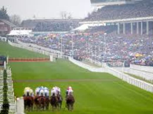 Två vinnare till Cheltenham samt länk till sändingen
