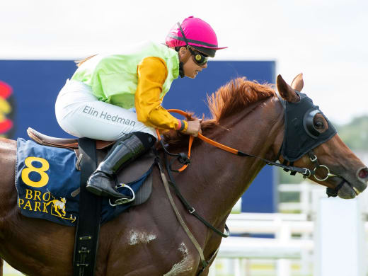 Hört från tränare inför onsdagslunchen på Bro Park