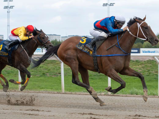 Tränarintervjuer 7/11 – V64 med jackpot på Jägersro