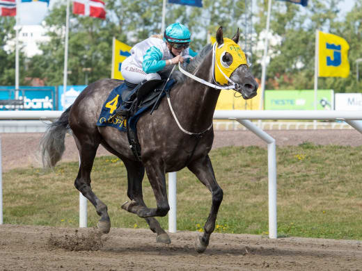 Tränarintervjuer 10/10 - V64 med jackpot på Jägersro