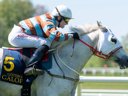 Stallsnack med Junior, Jarvén, Hellgren och Lea Olsen