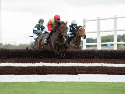 Hästarna i Svenskt Grand National