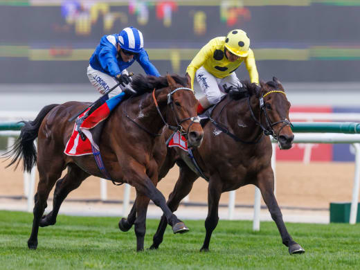 Super Saturday står för dörren