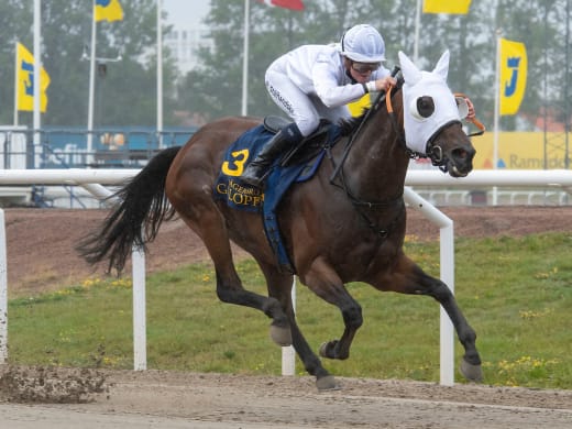 Tränarintervjuer 15/9 – lunchtävlingar på Jägersro Galopp