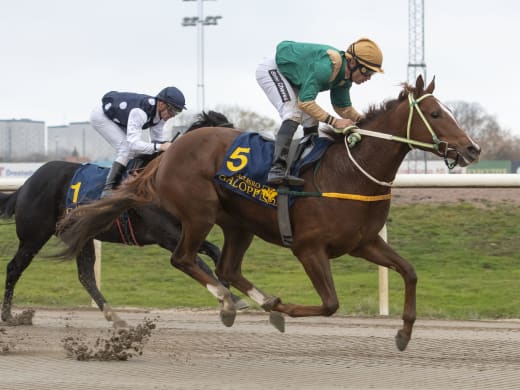 Dina Danekilde om Khatun i 1000 Guineas på Meydan