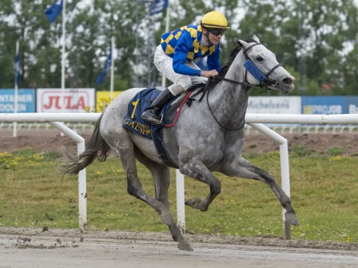 Hört från tränare inför fredagskvällen på Jägersro Galopp