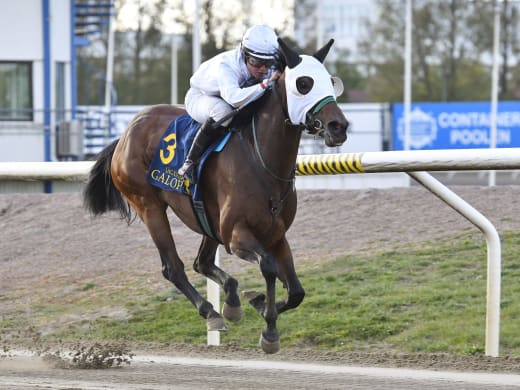 Giant Sally - en vinnare från Jan-Erik Pettersson?