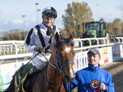 Gärdets sportsliga höjdpunkt – de arabiska fullbloden visar upp sig