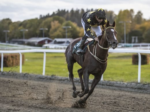 Stall Stjernstand kommer till Bro Park med sju hästar