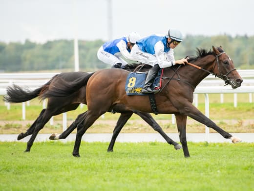 Mr Ascot Vinterfavoriternas Pris – Kröningsdags på söndag