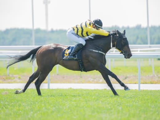 Tränarintervjuer 11/7 – V64 på Bro Park