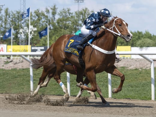 Hört från aktiva inför söndagens tävlingar på Jägersro Galopp
