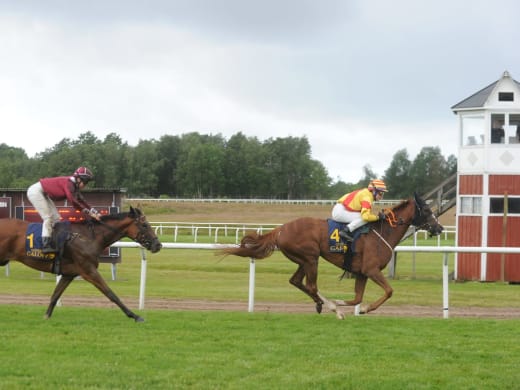 Om banan på Göteborg Galopp inför avslutningsdagen