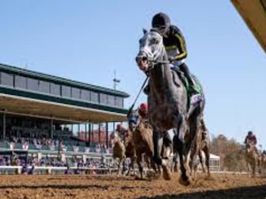 Knicks Go överlägsen i Pegasus World Cup