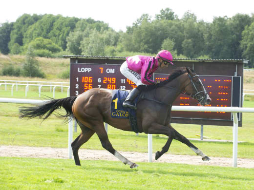Hemmalaget om chanserna på Göteborg Galopp