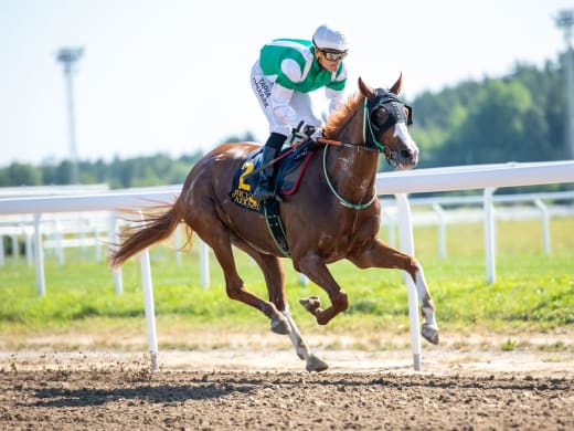 Stallsnack – Bro Park 13 september