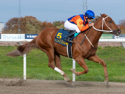 Valley Chapel Janos Tandaris Minne Götalandlöpning – Sprintuppgörelsen