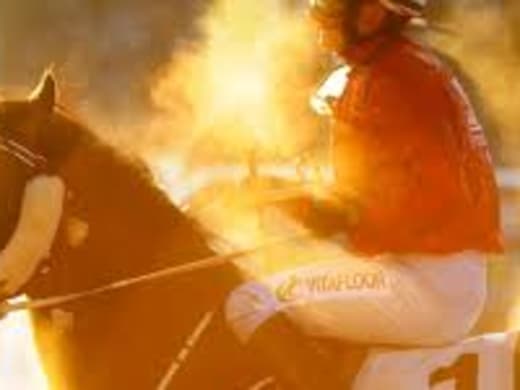 Om banans beskaffenhet - Tove Brandt vet besked