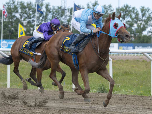 Stallsnack – Jägersro Galopp 10 augusti