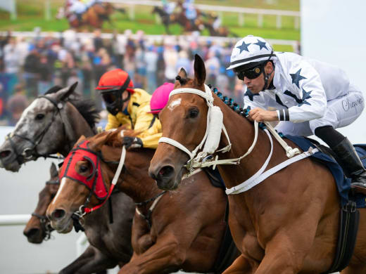 Stallsnack inför söndagens tävlingar på Göteborg Galopp