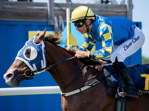 De fem bästa spelen på Nationaldagsgaloppen