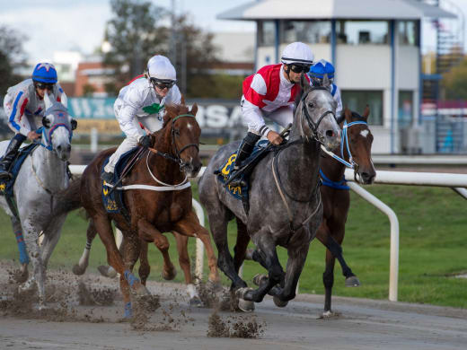 Baker Tilly Peas And Carrots Mile (L) – Duca Di Como ska försvara sin titel