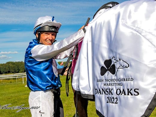 Galopp under veckan