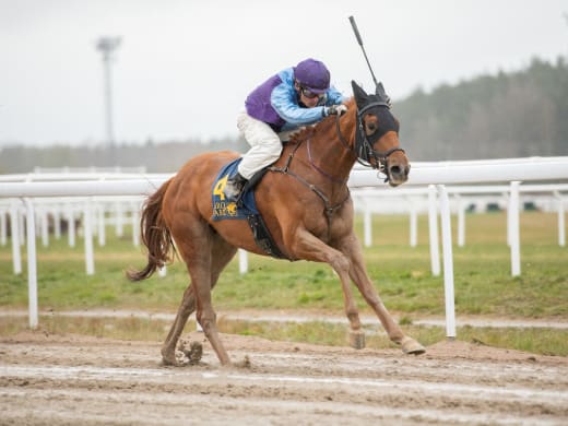 Tränarintervjuer 29/9 - lunchgalopp på Bro Park
