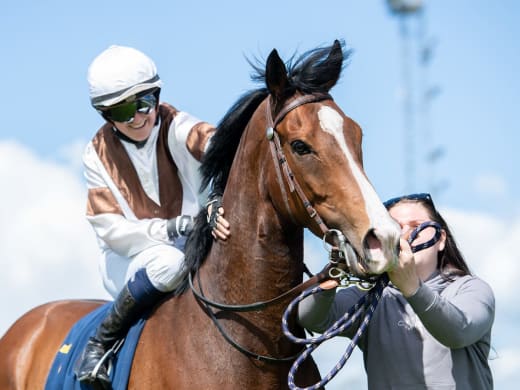 Claes Björling och Catharina Vång om årets första starthästar