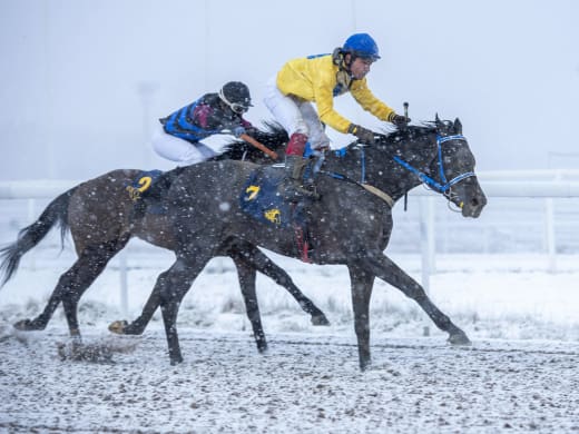 Vanja om V64-omgångens störste favorit Nyhavn