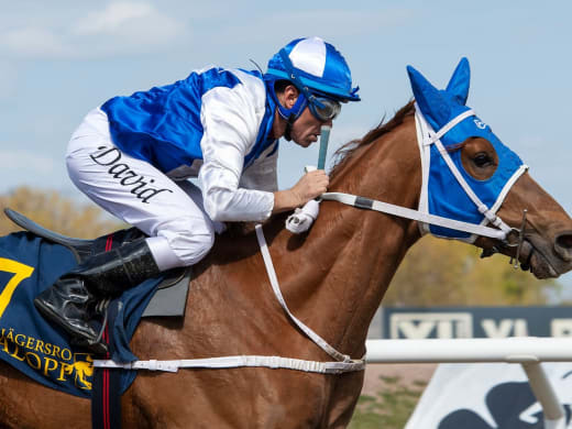 Stallsnack – Jägersro Galopp 26 augusti