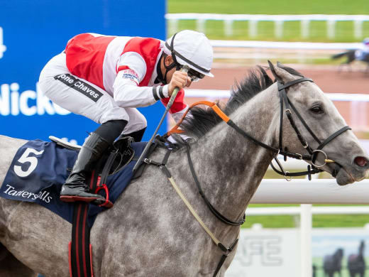 Spiken i fokus: Duca Di Como på jakt efter fjärde raka segern i Nickes