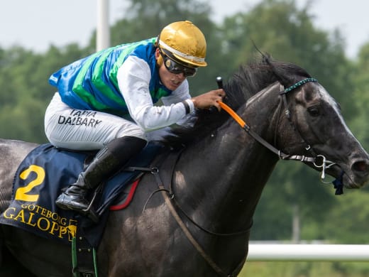 Tränarintervjuer 28/7 – onsdagslunch på Göteborg Galopp