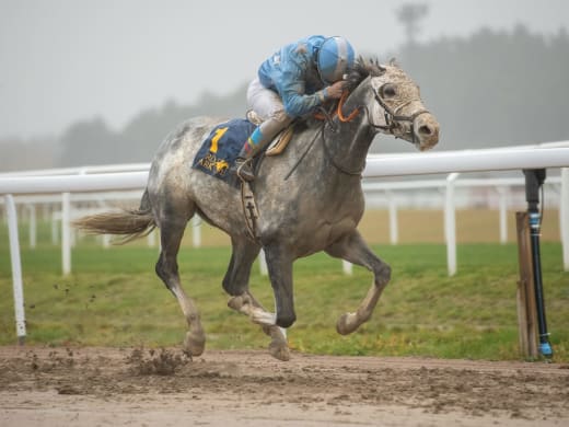 Stallsnack – Bro Park 12 augusti