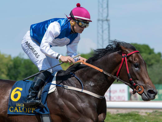 Stallsnack – Jägersro Galopp 1 juli