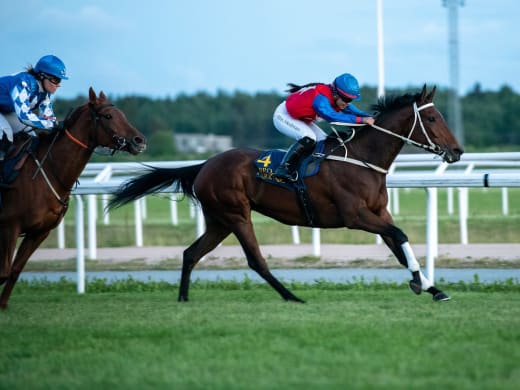 Hört från tränare inför kvällstävlingarna på Bro Park