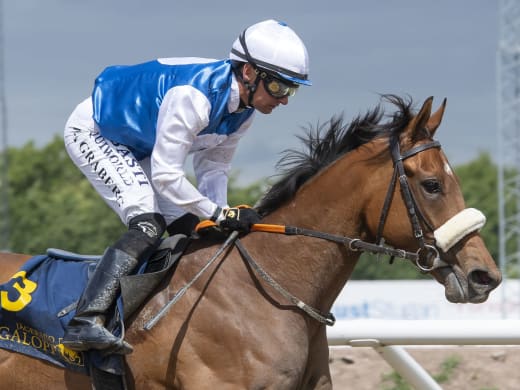 Stallsnack inför dagens finaltävlingar på Jägersro Galopp