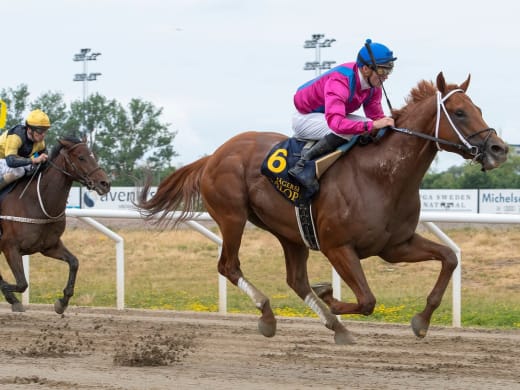 Tränarintervjuer 25/8 – lunchtävlingar på Jägersro Galopp
