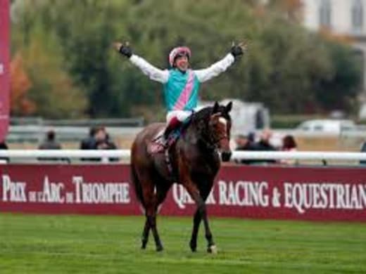 Enable är redan en legend - odödlig efter söndagens Arc?