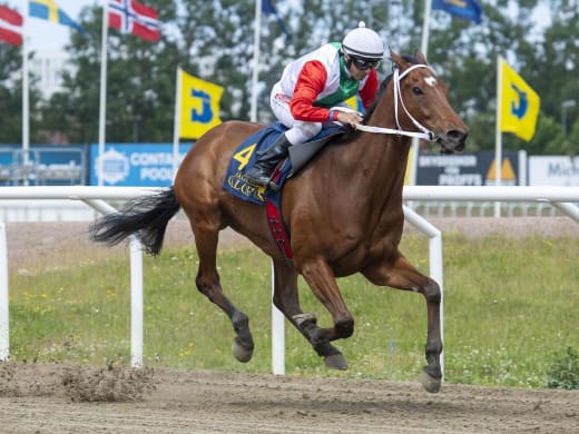 Det här är hästarna i Songline Classic