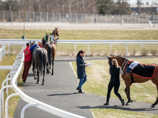 Säsongsavslutningen på Bro Park flyttas till lördag