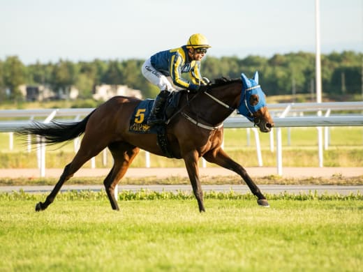 Tränarsnack inför onsdagstävlingarna på Bro Park