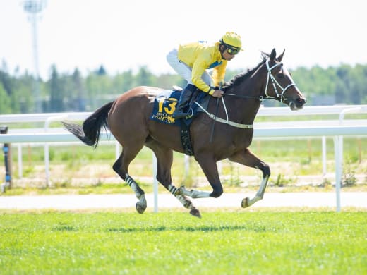 Lanwades Stud Stakes (L)  – stoeliten i en rafflande uppgörelse