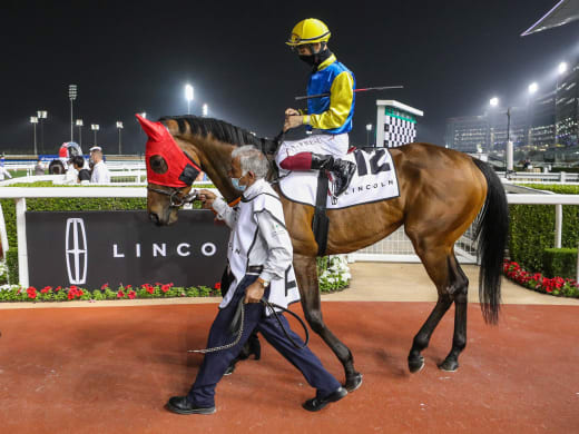 Nya möjligheter på Meydan