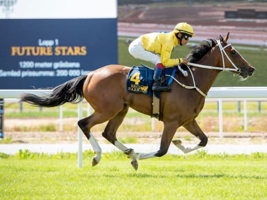 Tränarintervjuer 19/9 – GS75 med jackpot på Bro Park