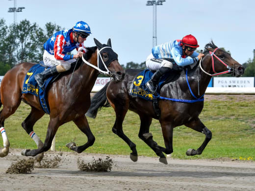 Tränarintervjuer 21/4 – lunchgalopp på Jägersro